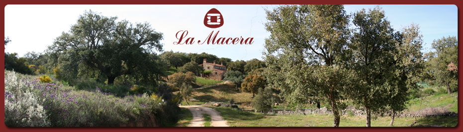 Apartamentos Rurales La Macera en Valencia de Alcántara